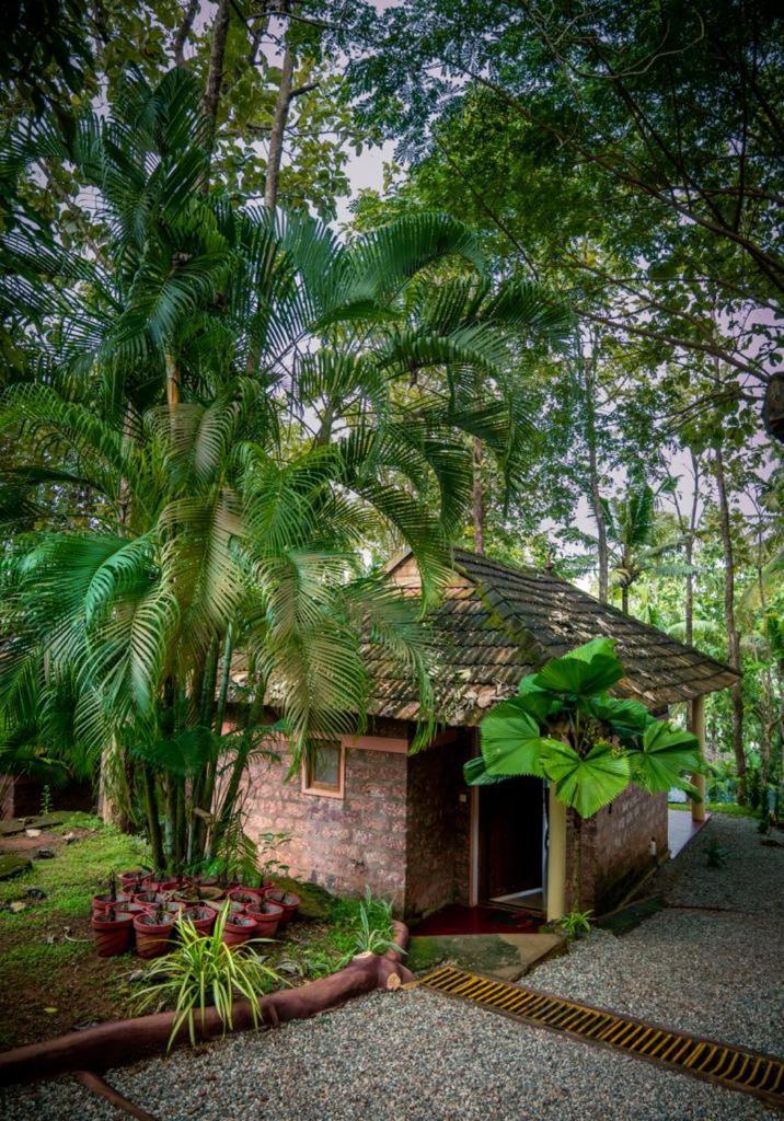 Vishram Village Varkala Exteriör bild